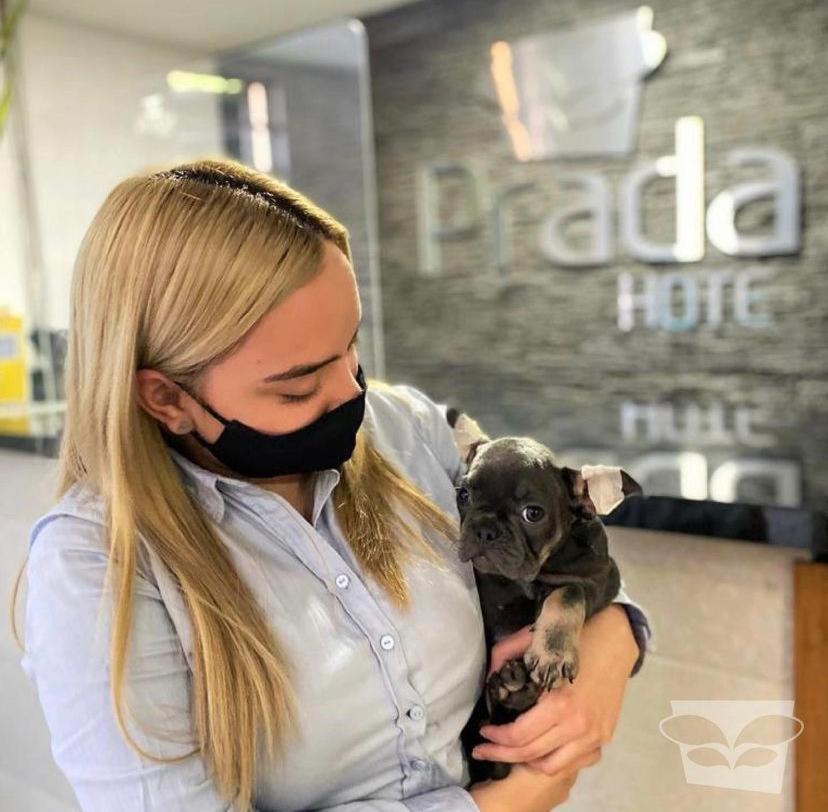 Hotel Prada Sas Bello Exteriér fotografie